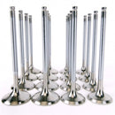 Skunk2 Alpha Series Honda/Acura Stock Size H Series Valve Set (Standard Compression)-2