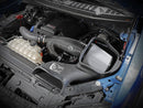 aFe 17-20 Ford F-150/Raptor Track Series Carbon Fiber Cold Air Intake System With Pro DRY S Filters-4
