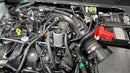 J&L 19-23 Ford/Lincoln SUVs &amp; Trucks w 2.0 EcoBoost Driver Side Oil Separator 3.0 - Clear An-2