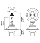 Hella Halogen H7 Bulb-2