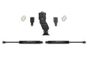 Fabtech 17-20 Ford Superduty 4WD Stealth Dual Steering Stabilizer Kit-1