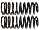 ICON 2007+ Toyota FJ / 2003+ Toyota 4Runner Rear 2in Spring Kit-1