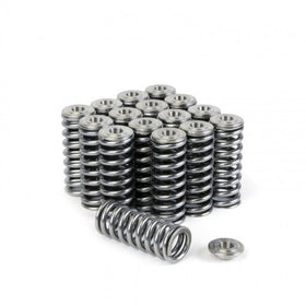 Skunk2 Alpha Series Honda/Acura D Series Valve Spring and Titanium Retainer Kit - 0