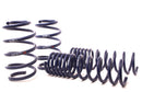 H&R 14-19 Ford Escape (2WD/4WD) 4 Cyl/V6 Sport Spring-1