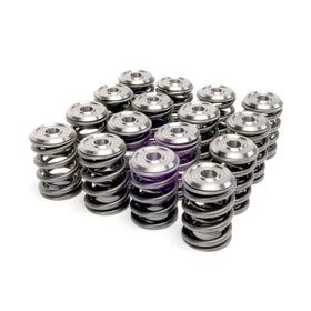 Skunk2 Alpha Series Honda/Acura B Series Valve Spring and Titanium Retainer Kit - 0