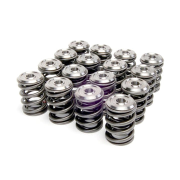 Skunk2 Alpha Series Honda/Acura B Series Valve Spring and Titanium Retainer Kit - 0