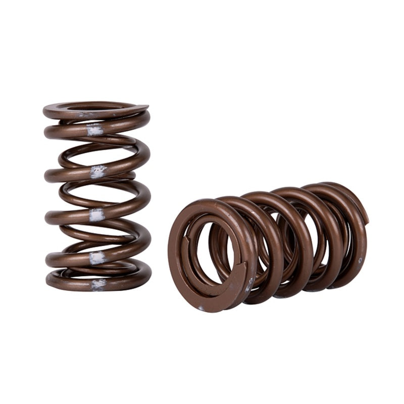 Skunk2 Pro Series Honda/Acura K-Series i-VTEC XP Valve Spring Set (Dual Springs) - 0