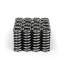 Skunk2 Alpha Series Honda D Series VTEC Valve Spring Set-6
