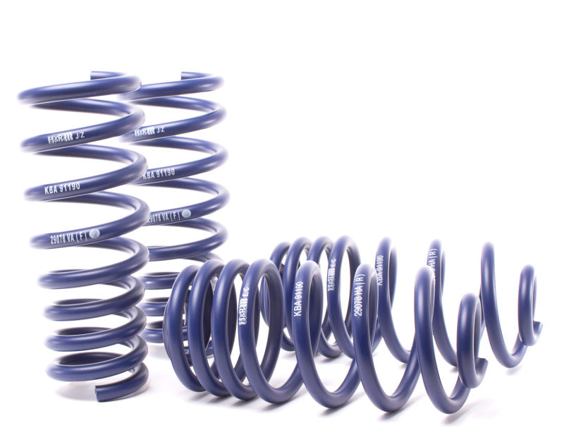 H&R 07-13 BMW X5 E70 Sport Spring (w/o Self-Leveling/Incl. Diesel) - 0