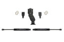 Fabtech 17-20 Ford Superduty 4WD Stealth Dual Steering Stabilizer Kit-2