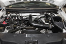 K&N 04-08 Ford F150 V8-5.4L/04-07 Ford Lobo 5.4L V8 Blackhawk Perf Intake Kit-5