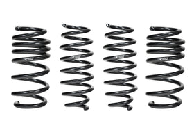 Eibach Pro-Kit for 17-20 Tesla 3 Standard Range - 0
