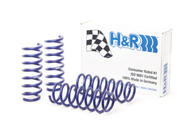 H&R 11-16 BMW 528i/535i F10 OE Sport Spring - 0
