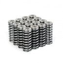 Skunk2 Alpha Series Honda/Acura D Series Valve Spring and Titanium Retainer Kit-8