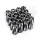 Skunk2 Alpha Series Honda D Series VTEC Valve Spring Set-2