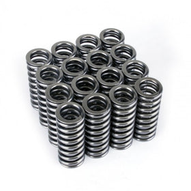 Skunk2 Alpha Series Honda D Series VTEC Valve Spring Set - 0