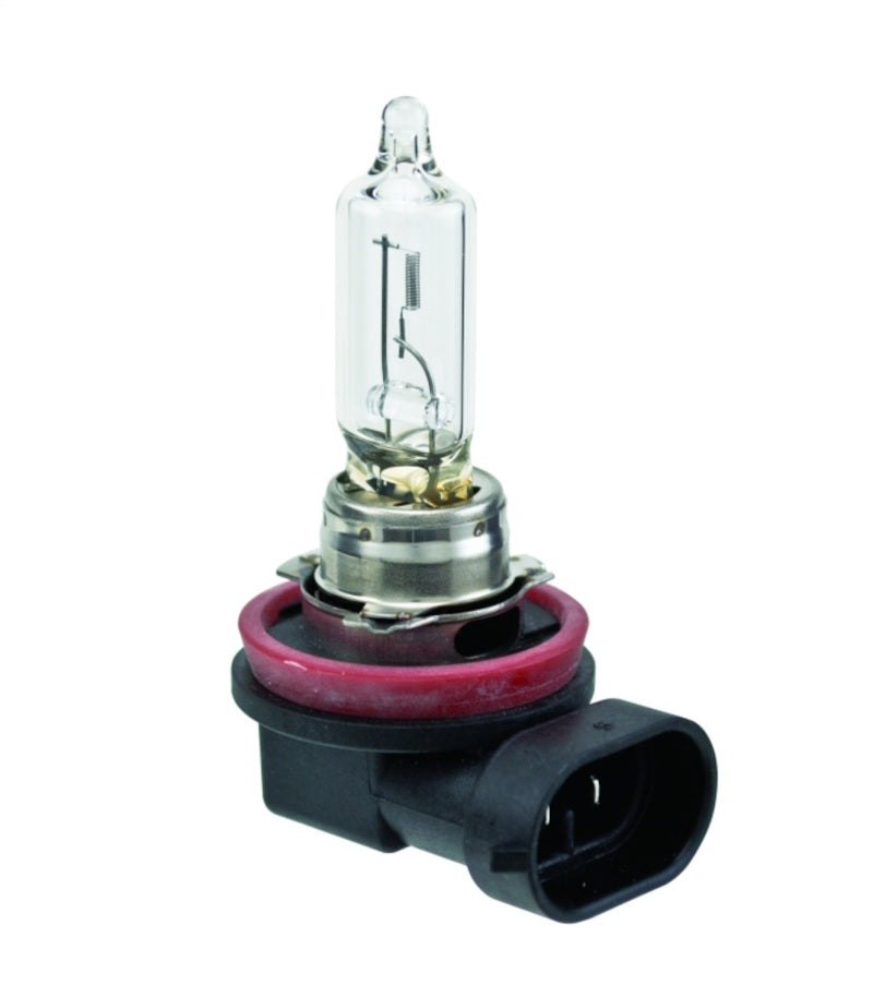 Hella Bulb H9 12V 65W PGJ19-5 T4 - 0