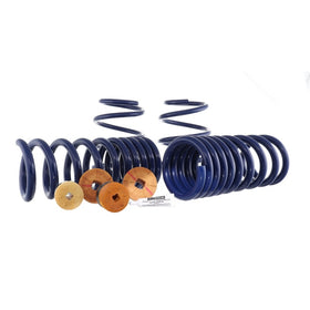 Ford Racing 15-22 Mustang Track Lowering Spring Kit - 0