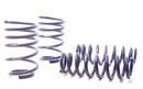 H&R 07-11 BMW 328i Sedan/335i Sedan E90 Race Spring-1