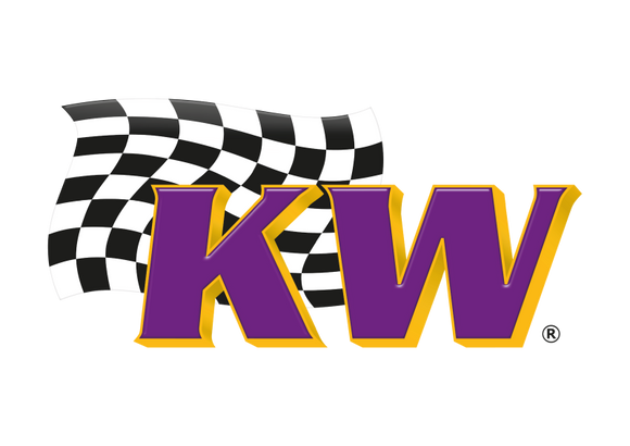 KW Electronic Damping Cancellation Kit Audi R8 type 42