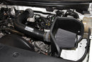 K&N 04-08 Ford F150 V8-5.4L/04-07 Ford Lobo 5.4L V8 Blackhawk Perf Intake Kit-6
