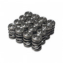 Skunk2 Alpha Series Honda/Acura H Series Valve Spring and Titanium Retainer Kit-1