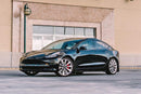 Rally Armor 17-23 Tesla Model 3 Black UR Mud Flap w/White Logo-6