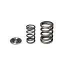 Skunk2 Alpha Series Honda/Acura H Series Valve Spring and Titanium Retainer Kit-2