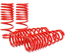 Skunk2 94-01 Acura Integra Lowering Springs (2.50in - 2.25in.) (Set of 4) - 0