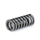 Skunk2 Alpha Series Honda D Series VTEC Valve Spring Set-8