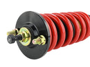 Skunk2 92-95 Honda Civic / 94-01 Acura Integra Pro-ST Coilovers (Front 10 kg/mm - Rear 10 kg/mm)-7